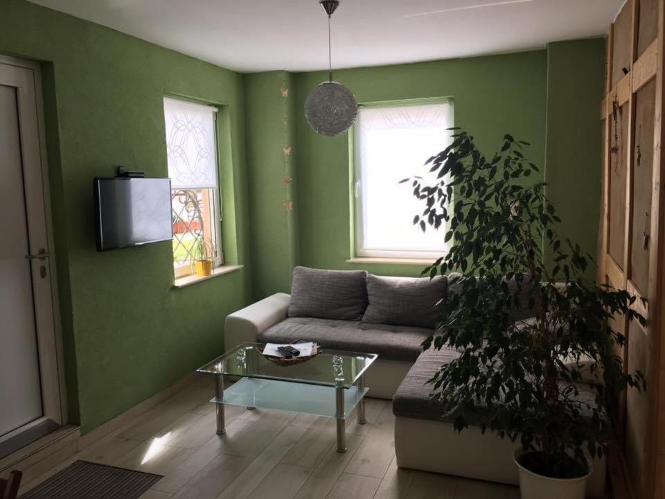 Ferienwohnung Zum Saaletalblick 나움부르크 외부 사진